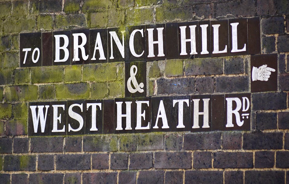 A close-up of a section of an exterior brick wall with several dark-colored ceramic street name signs affixed. The signs display the names 'to BRANCH HILL' and '& WEST HEATH R D' in large, white, uppercase lettering. The bricks are aged, weathered, and have a mix of dark brown, gray, and greenish moss or lichen growth, typical of outdoor urban environments. To the right of the signs, there is a small white sticker with a pointing hand icon. The wall's surface shows signs of moisture and age, with some mortar and brick edges slightly eroded. The scene provides a contextual background often associated with neighborhood street signs, relevant to local area mapping and household rubbish collection routes nearby. Rubbish Removal Hampstead might utilize such street signage for location referencing or planning waste disposal on private property or alternative collection methods in the area.