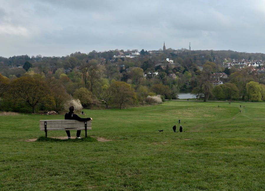 A person wearing dark clothing sits on a wooden bench with metal supports, positioned on a grassy field in a park setting. The bench faces away from the camera, and the person's head is slightly turned to the right. The foreground shows evenly mowed green grass, with a few patches of bare earth beneath the bench. In front of the person, two black dogs are sitting, one slightly ahead of the other. Several small figures of people are scattered across the open area, some walking or standing, while others appear to be engaged in leisure activities. The mid-ground is a gently sloping expanse of lush, well-maintained lawn dotted with mature deciduous trees displaying fresh spring foliage in shades of green, with some trees in bloom. Behind the trees, a narrow, calm river or pond is visible, reflecting the overcast sky, which is clad in grey clouds, casting diffuse, soft light over the scene. The background features a distant hillside with numerous residential buildings and a prominent church spire rising above the treetops, indicating a suburban area. This scene exemplifies a peaceful park environment, potentially used for informal outdoor recreation and quiet private contemplation, often requiring alternative arrangements for waste disposal such as independent rubbish collection offered by local services.